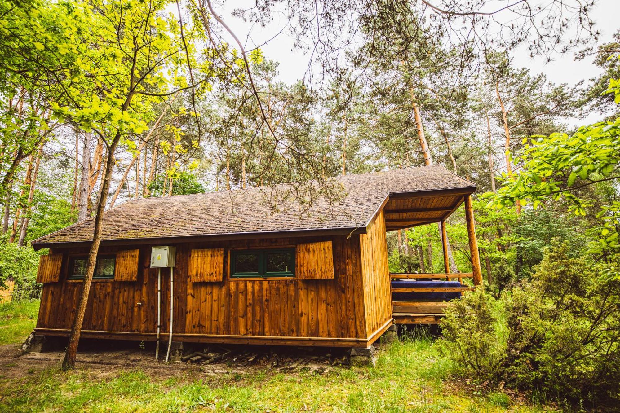 Cozy Nature Retreat With Patio Fireplace Garden Maciejowice エクステリア 写真
