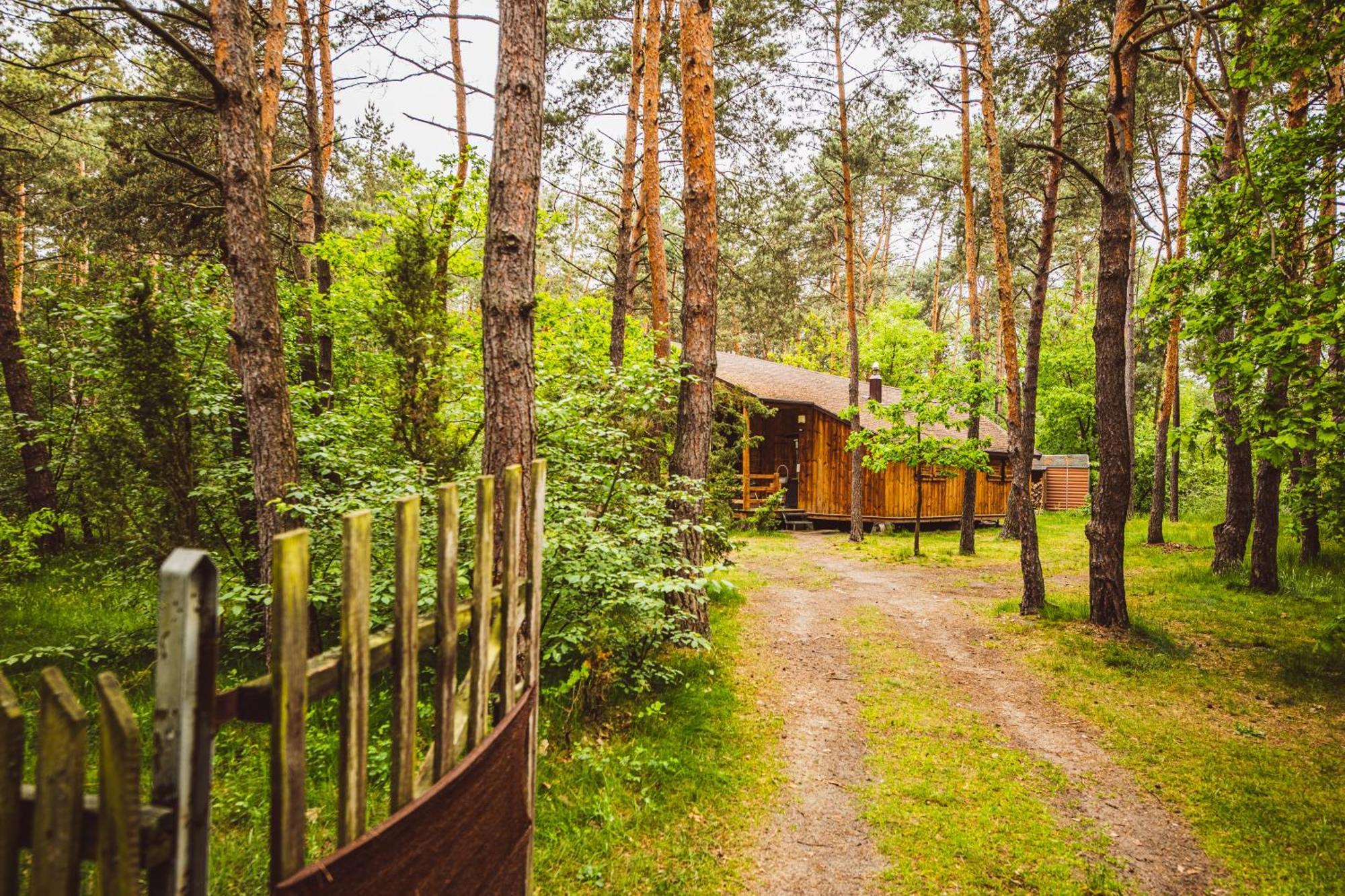 Cozy Nature Retreat With Patio Fireplace Garden Maciejowice エクステリア 写真