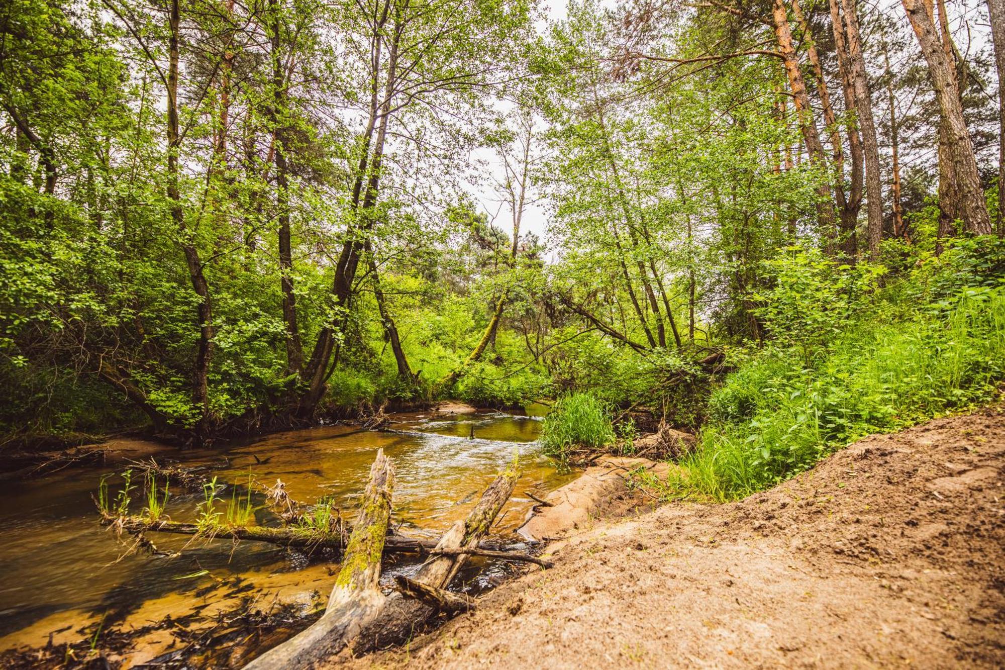 Cozy Nature Retreat With Patio Fireplace Garden Maciejowice エクステリア 写真