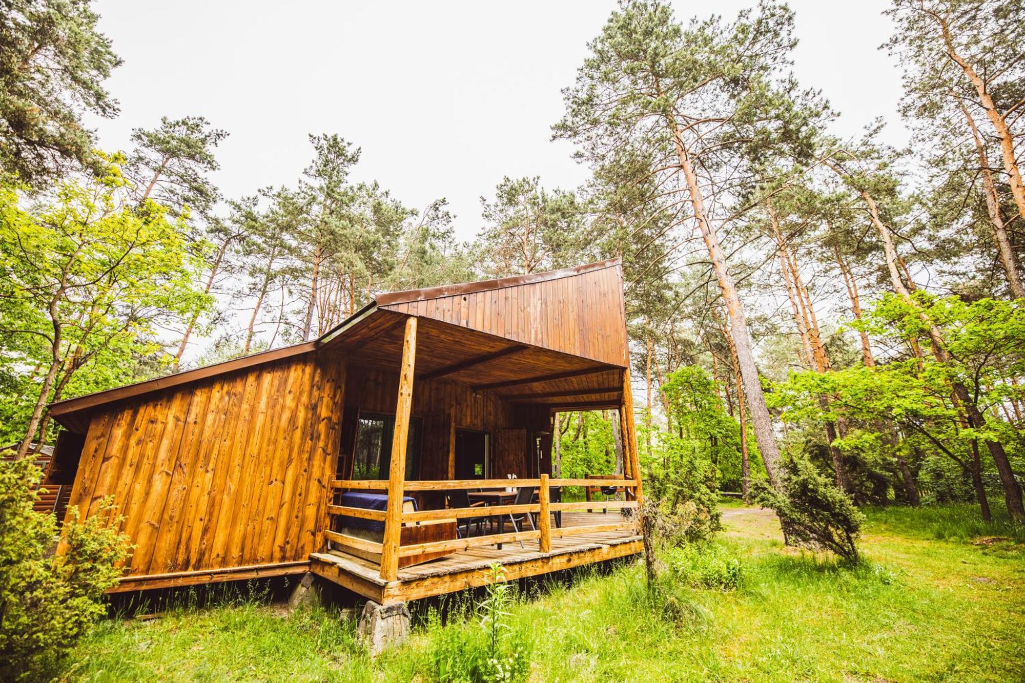 Cozy Nature Retreat With Patio Fireplace Garden Maciejowice エクステリア 写真