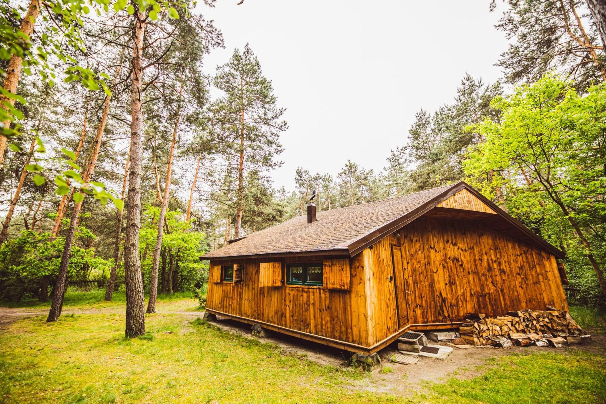 Cozy Nature Retreat With Patio Fireplace Garden Maciejowice エクステリア 写真