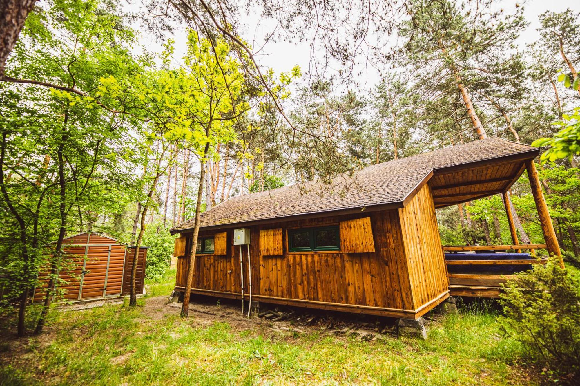 Cozy Nature Retreat With Patio Fireplace Garden Maciejowice エクステリア 写真