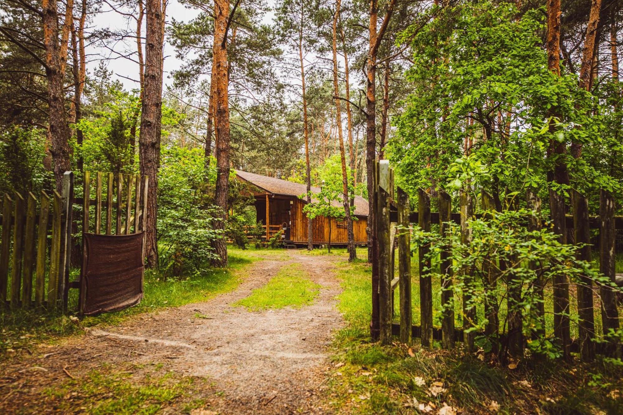 Cozy Nature Retreat With Patio Fireplace Garden Maciejowice エクステリア 写真