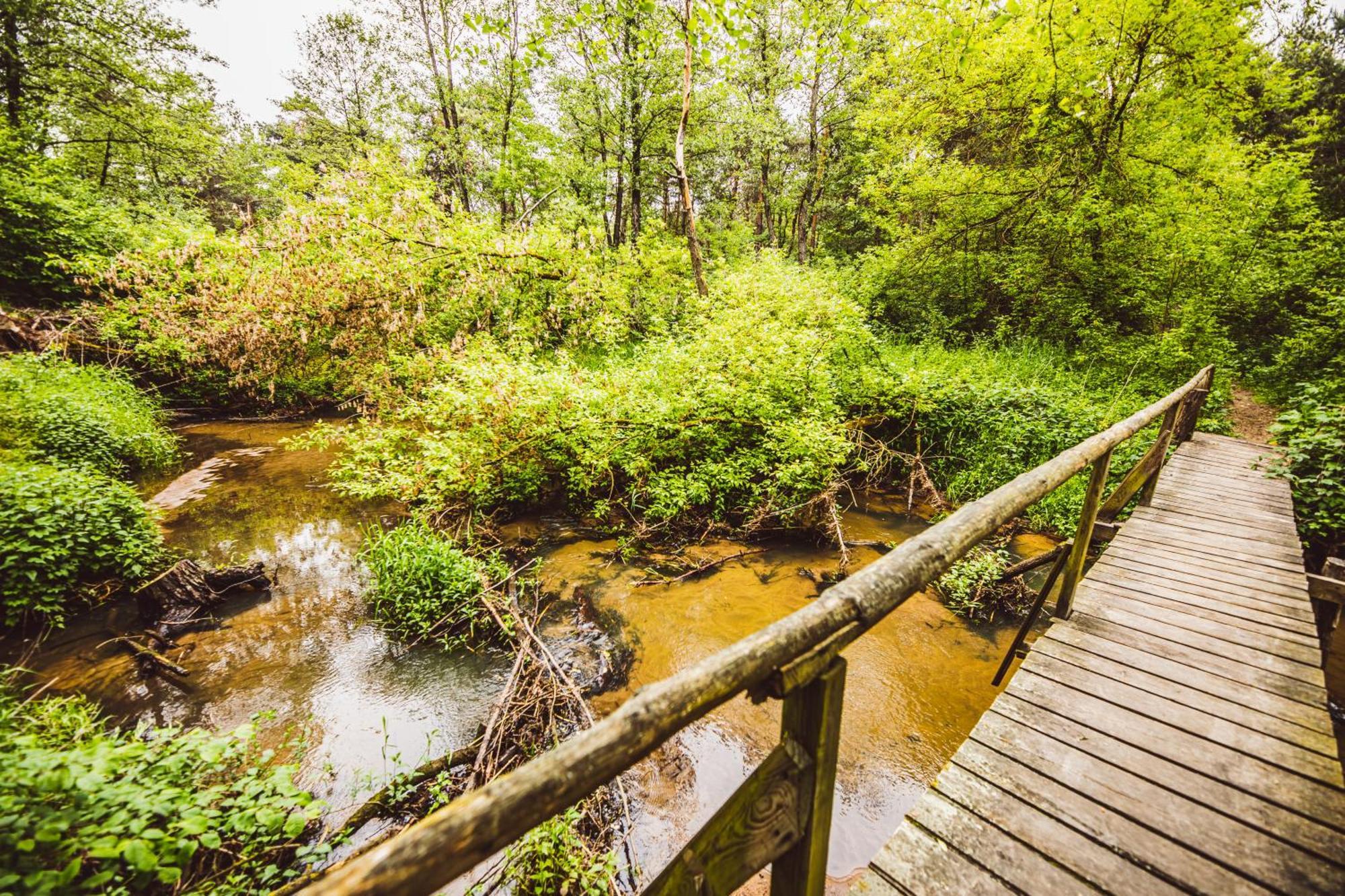 Cozy Nature Retreat With Patio Fireplace Garden Maciejowice エクステリア 写真