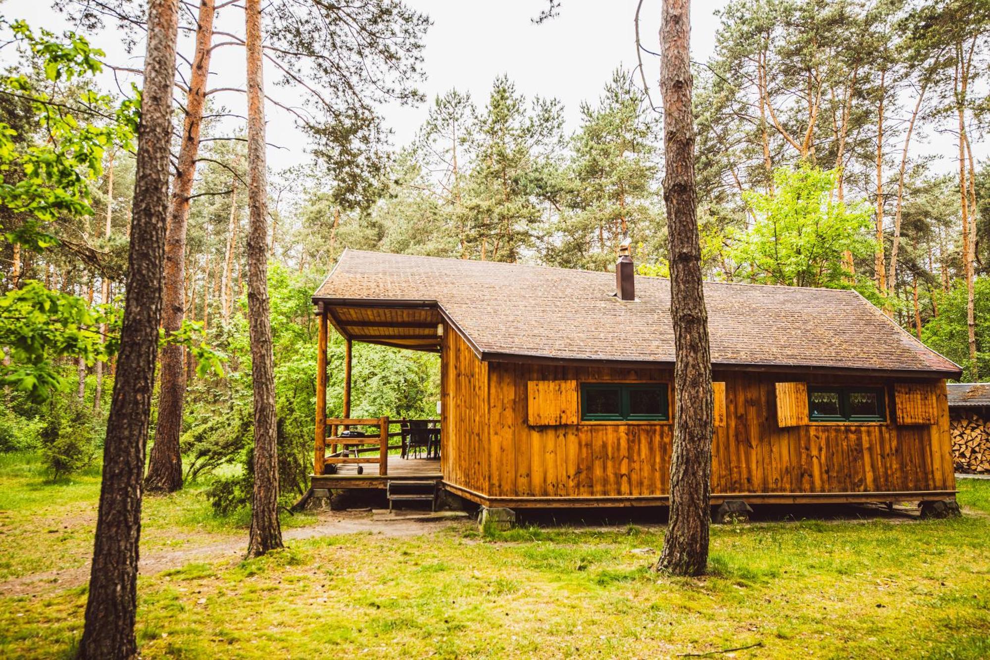 Cozy Nature Retreat With Patio Fireplace Garden Maciejowice エクステリア 写真