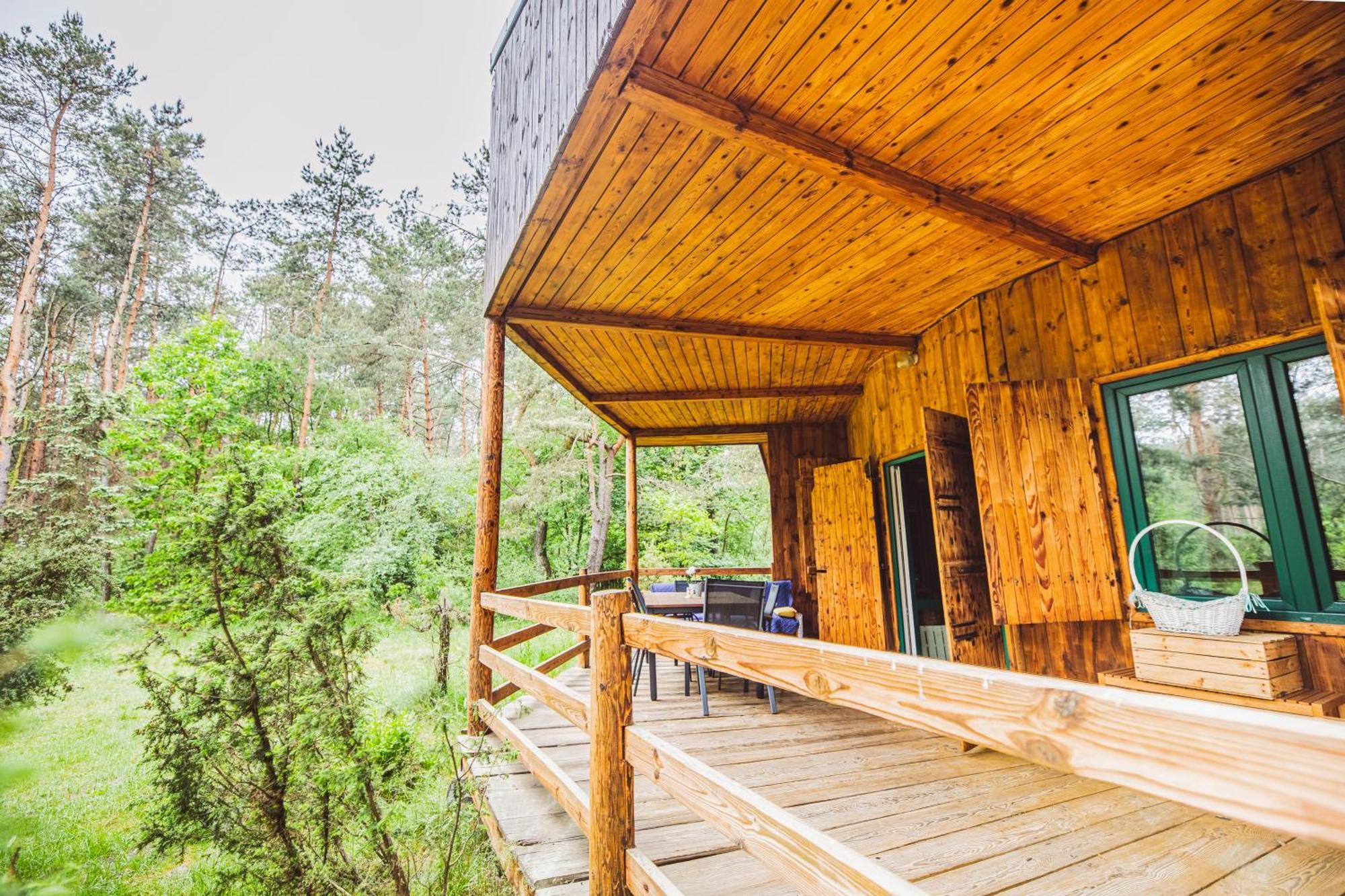 Cozy Nature Retreat With Patio Fireplace Garden Maciejowice エクステリア 写真