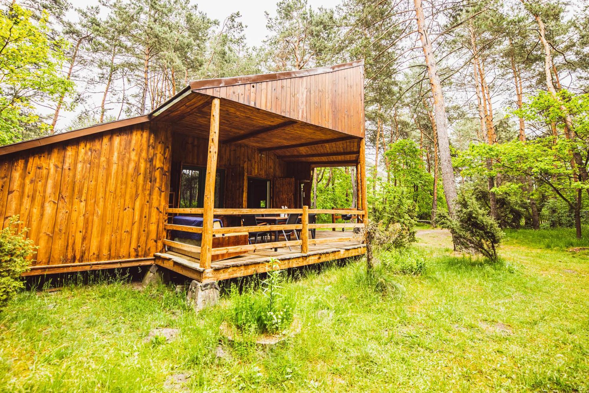 Cozy Nature Retreat With Patio Fireplace Garden Maciejowice エクステリア 写真